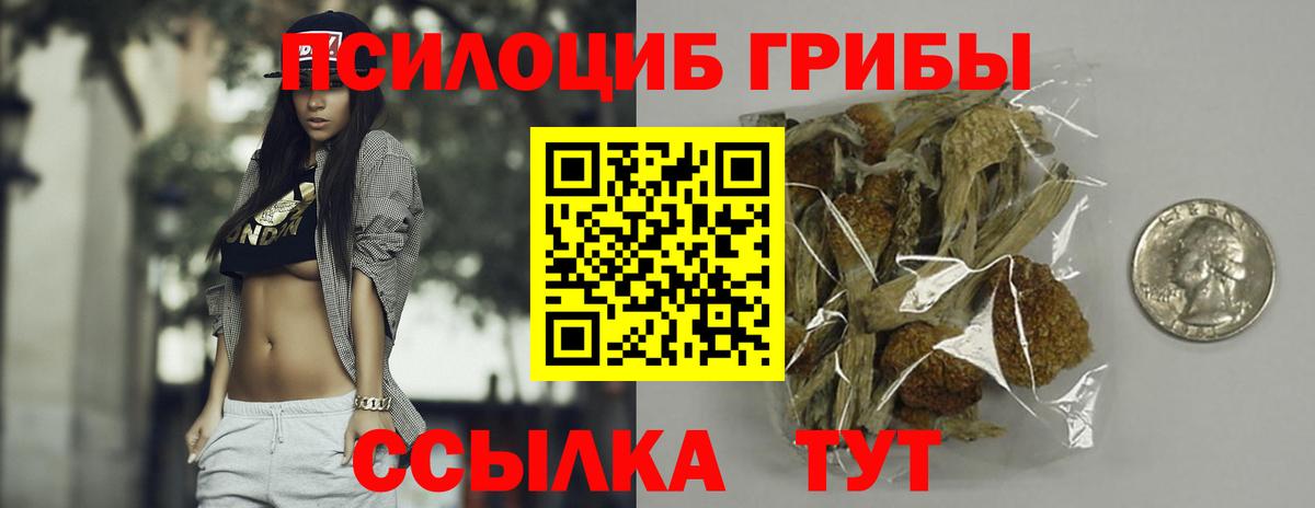 Кудрово  Псилоцибиновые грибы MAGIC MUSHROOMS  Вход с VPN 