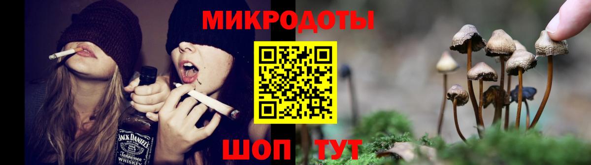 Гашиш Кудрово